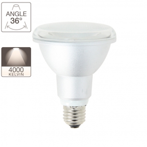 Ampoule LED PAR30, culot E27, classique