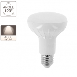 Ampoule spot LED R80, culot E27, classique